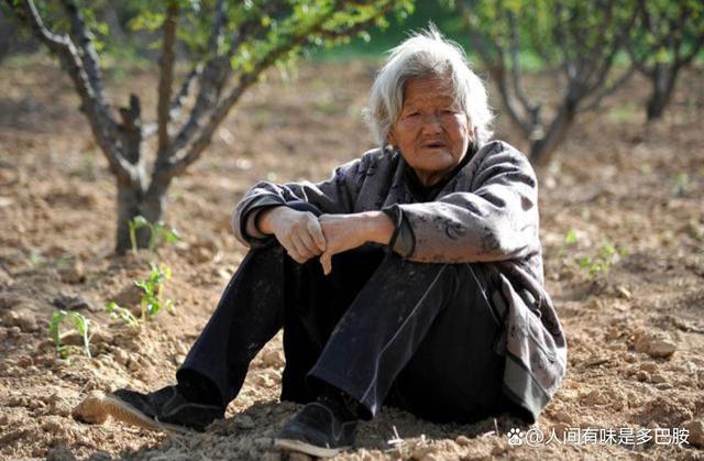 1.5亿中国低龄老人三分之一在工作，超六成从事农林牧渔行业-4