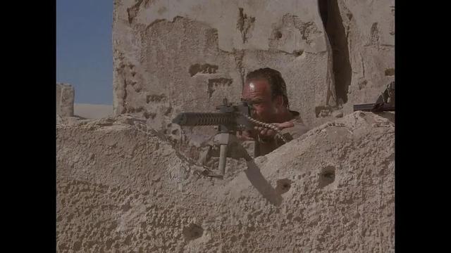 关于二战北非战争的电影《撒哈拉》