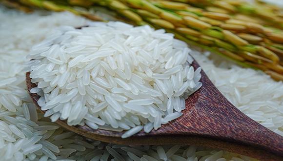 【全球米价涨至11年高位】厄尔尼诺或致水稻减产，全球大米价格升至11年最高